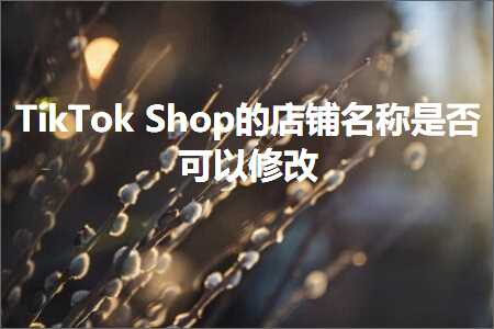 璺ㄥ鐢靛晢鐭ヨ瘑:TikTokShop鐨勫簵閾哄悕绉版槸鍚﹀彲浠ヤ慨鏀? width=